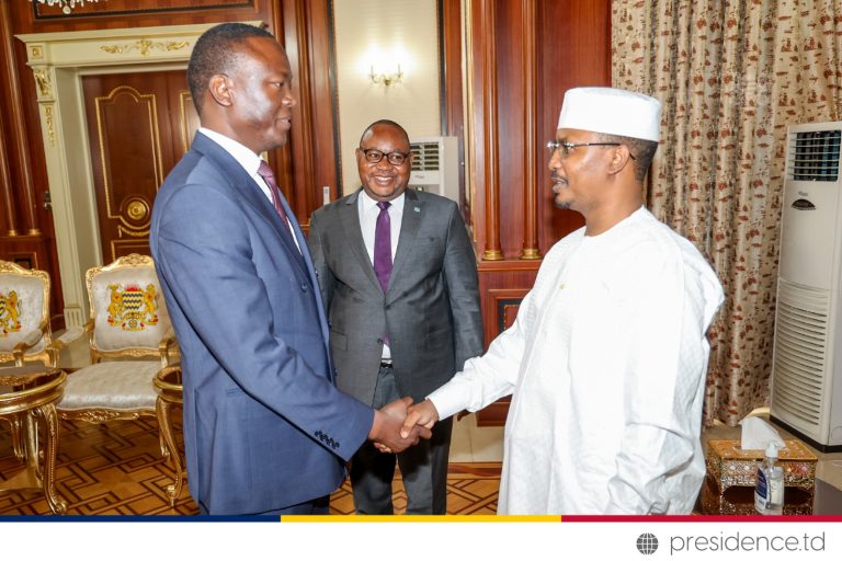 Politique/Dr Masra Succès reçu en audience par le président de transition Gal Mahamat Idriss Deby Itno .