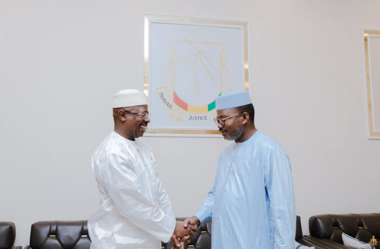 Guinée : le parlement approuve officiellement Simandou 2040