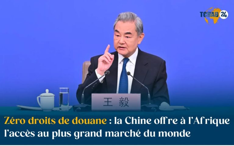 Zéro droits de douane : la Chine offre à l’Afrique l’accès au plus grand marché du monde