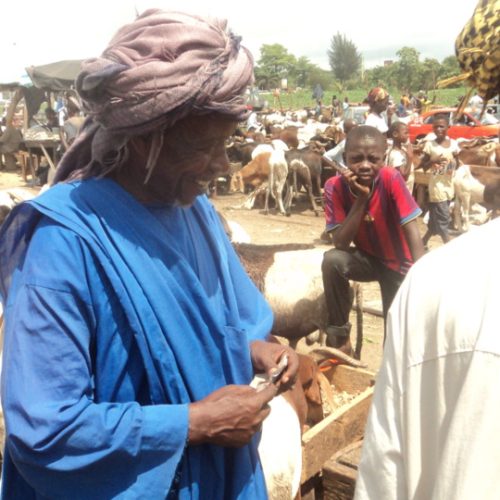 Tabaski : le prix du mouton explose au Tchad et au Mali