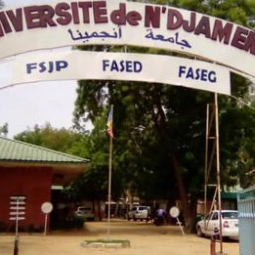 Ruée des enseignants du supérieur vers le privé, les étudiants laissés à leur triste sort