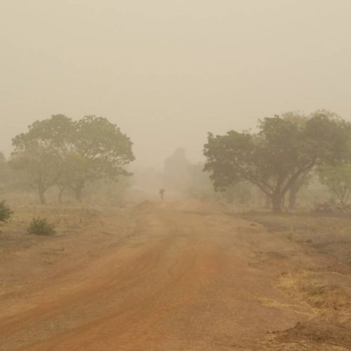 Alerte Rouge sous l&rsquo;Harmattan : le Tchad face au péril des épidémies saisonnières