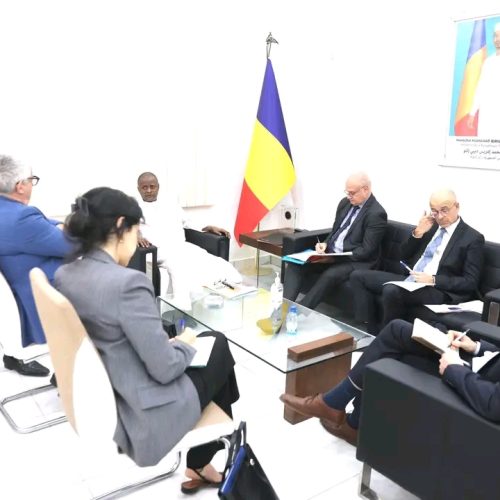 Partenariat Tchad–AFD : le Ministre d’État reçoit une délégation de l’Agence Française de Développement