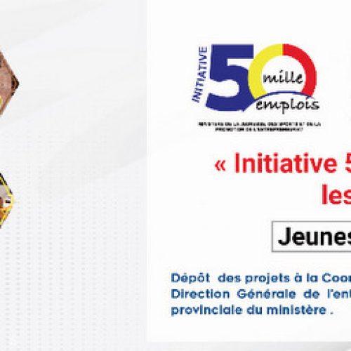 Tchad/ L’initiative 5000 emplois suspendue pour manquement