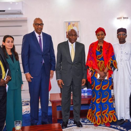 Tchad/ Le Premier Ministre Saleh KEBZABO et l’Ambassadeur Desiré NYARUHIRIRA échangent sur le processus de transition en cours au Tchad