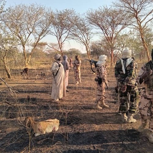 Deux cadavres, une femme et un homme, ont été retrouvés dans leurs champs à Sihébé, une localité située à environ cinquante kilomètres d’Amdam, dans le département de Djourf-Ahma