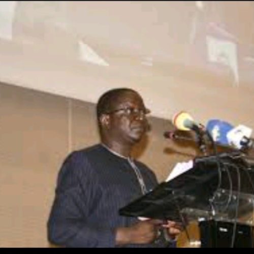 Tchad: Dialogue national sur la problématique de la mortalité maternelle, néonatale et infantile.