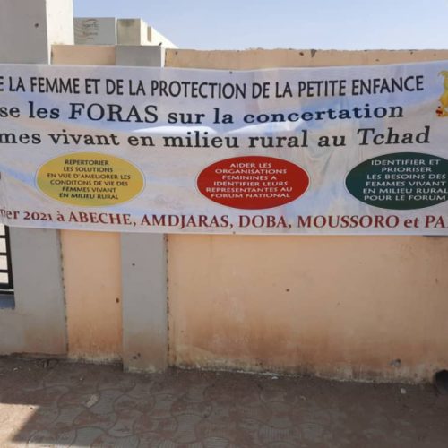 Tchad : des assises provinciales pour débattre de la condition de la femme rurale