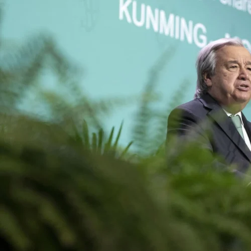 COP15 biodiversité: aboutir à un accord avec des engagements concrets pour 2030