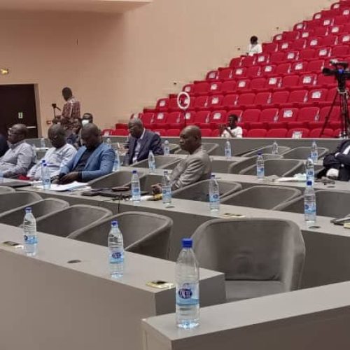 Tchad : Les DG et SG de grandes institutions de la République sont consultés par le CODNI