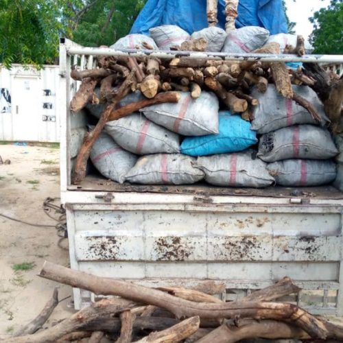 Tchad : La brigade forestière intercepte une quantité importante du charbon et d’armes