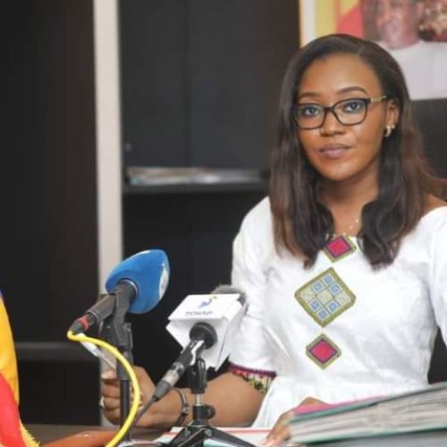 Tchad :  les activités préparatoires de la SENAFET lancées