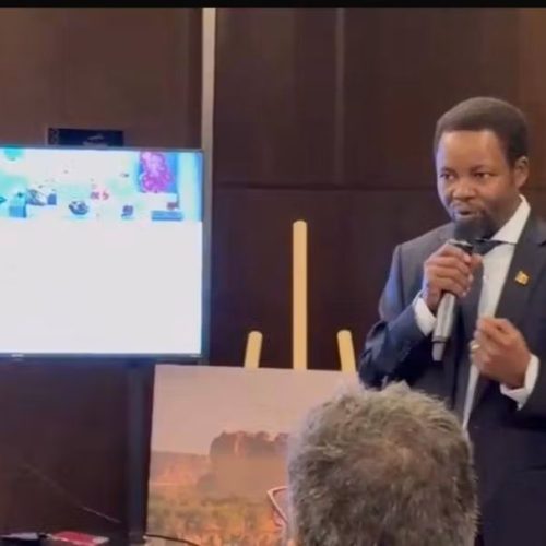 PND-TCHAD  Connexion 2030 : la Sonemic séduit les investisseurs