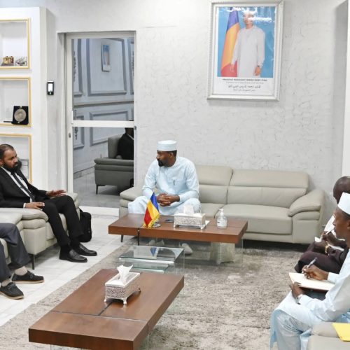 Sécurité transfrontalière : le tournant de la maturité entre N’Djamena et Tripoli