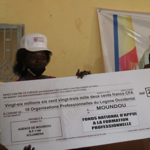 Tchad: Les organisations professionnelles du Logone Occidental bénéficie de 18 projets financés par le FONAP