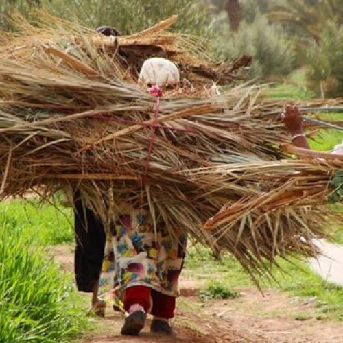 31,9% des femmes rurales touchées par la faim