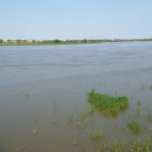 La montée progressive des eaux du fleuve Chari et Logone fait trembler la population n’djamenoise