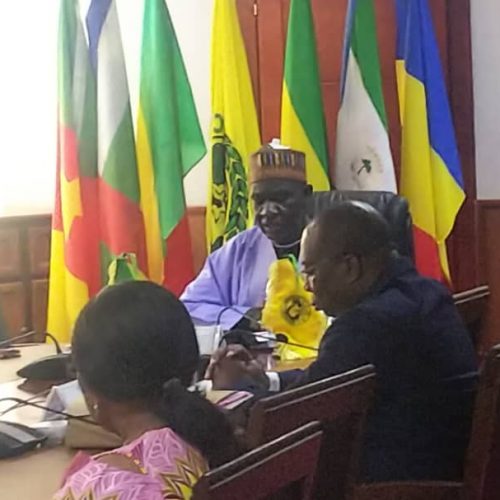 CEMAC  Le Budget 2021 adopté par le Conseil des Ministres de l’UEAC