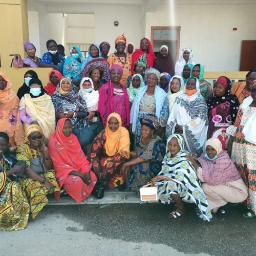 Tchad: Les femmes capitalisent leur participation au DNIS