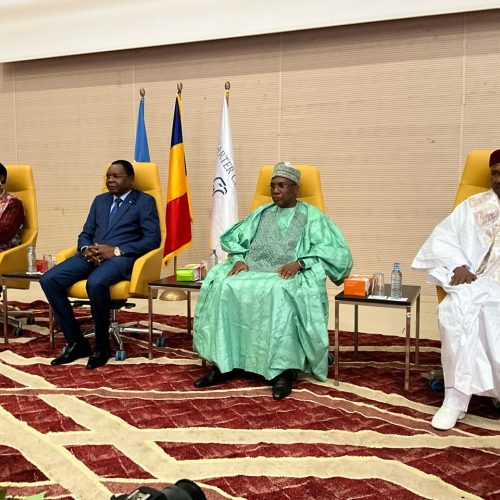 Santé publique : le ver de Guinée au cœur d’une rencontre à N’Djamena