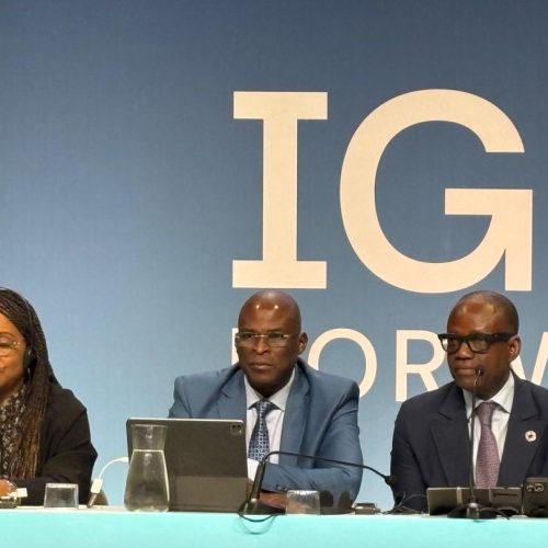 Développement numérique : le Tchad en action pour atteindre ses objectifs