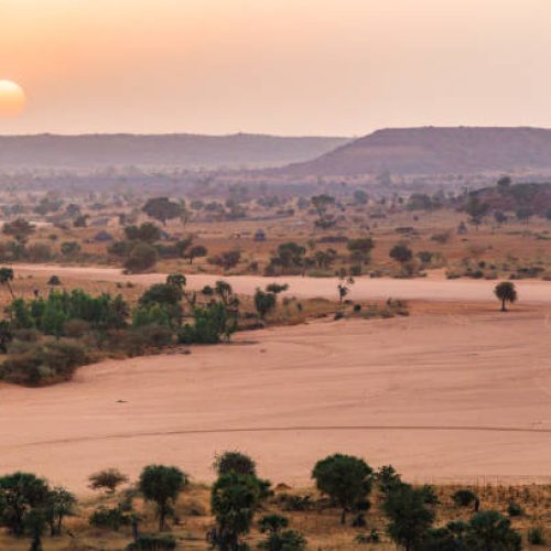 Collaboration sahélienne: Voyager au Niger un calvaire pour les tchadiens