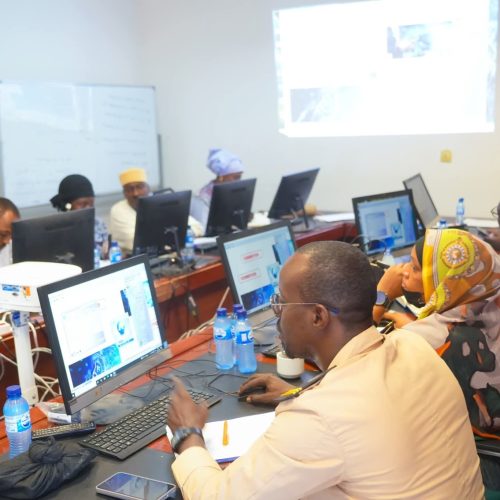 Digitalisation des procédures douanières : la DGDDI mise sur la montée en compétences