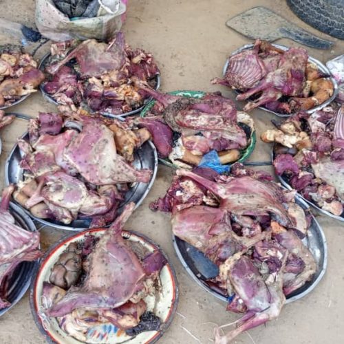 Production de viande: un circuit douteux saisi à N’Djamena