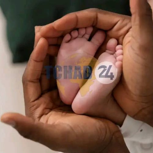 Journée mondiale de la prématurité : un combat dès la naissance