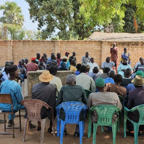 Mandoul : 300 millions 50 mille fcfa pour l’Agriculture locale