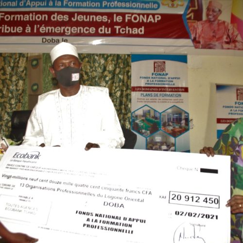 Tchad:  Le FONAP remet un chèque à 13 groupements du Logone Oriental