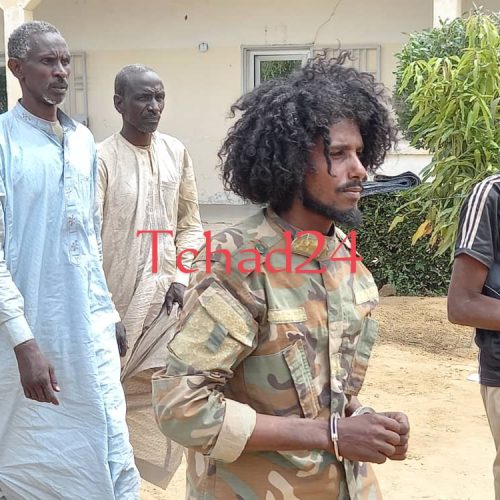 Tchad: « 500 véhicules sont entrées par la Libye » selon le commandant des opérations spécialisées du FACT capturé par l’armée