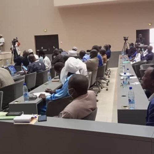 Tchad: Les consultations entre le CODNI et les forces vives de la Nation se poursuivent