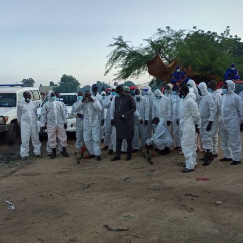 Tchad: Lancement officiel de l’opération de démoustication