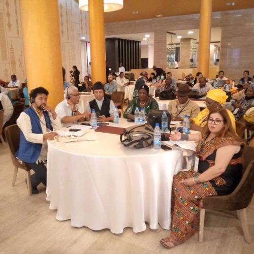 Changement climatique:  Mise en œuvre du 2ème plan de travail triennal de la plateforme des communautés locales et des peuples autochtones.