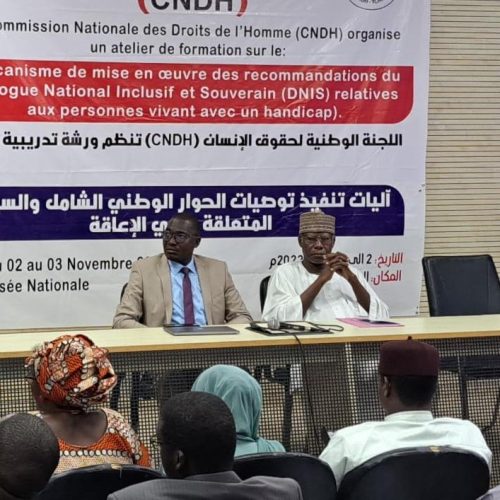 Tchad: Les personnes vivant avec un handicap informées des recommandations du DNIS
