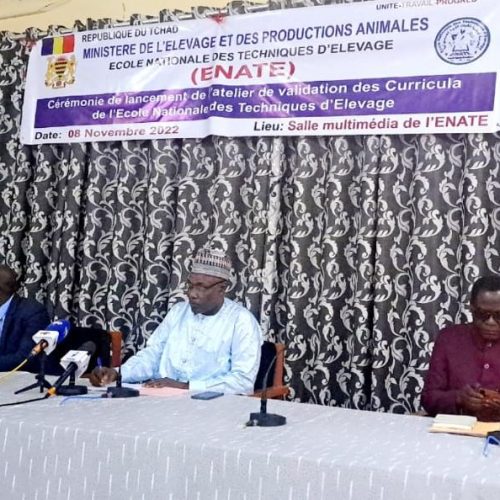 Tchad/L’Ecole nationale des techniques d’élevage valide ses curricula