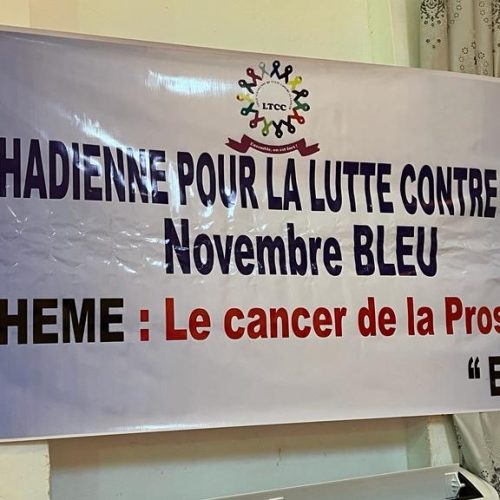 Lutte contre le Cancer/ Les opérateurs économiques sensibilisés sur les méthodes préventives