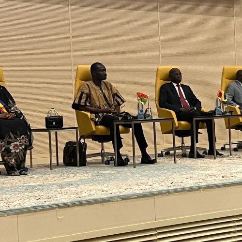 N’Djamena abrite les travaux de la 41ème session ordinaire du conseil des ministres de l’autorité du Bassin du Niger