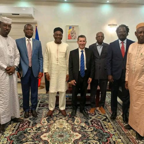 Audience à la primature: Le Directeur Général de PERENCO/Tchad Eric Josseron reçu par le PM saleh Kebzabo