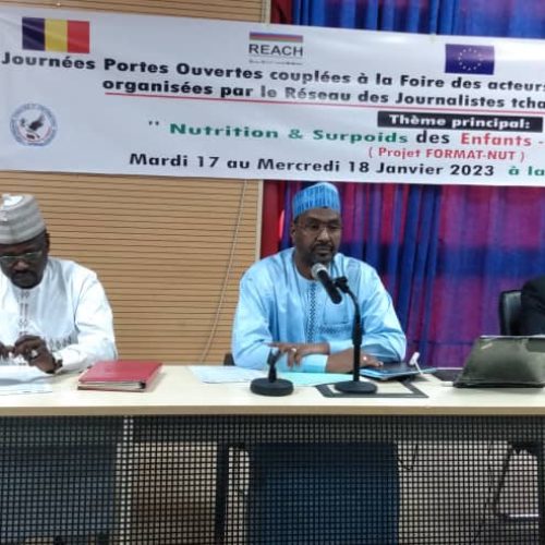 Tchad/Le RJTN sensibilise la population sur les inconvénients de l’obésité