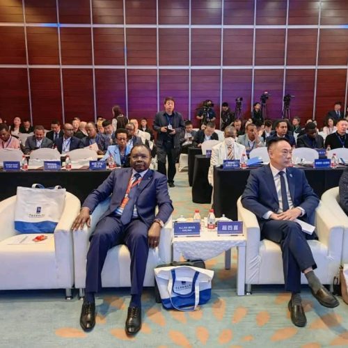 Forum sur la Coopération Sino-Africaine, la mission du Tchad en Chine a pris part