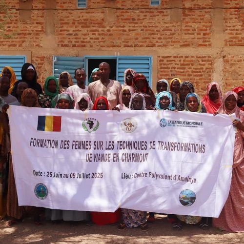 Batha: la transformation de viande en charmout mis en avant