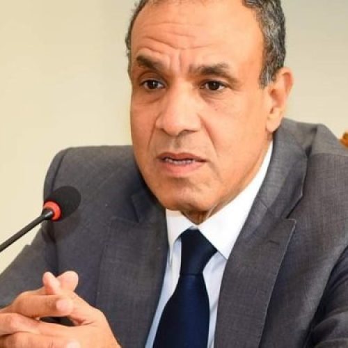 وزير الخارجية المصري: نقدم كل أشكال الدعم لتشاد في مكافحة الإرهاب
