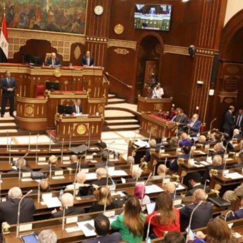 مجلس الشيوخ المصري يفتح ملف تطوير المطارات