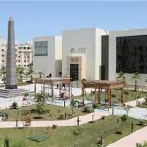 فتح باب التقديم للطلاب الأفارقة للحصول على منح TICAD8 بالجامعة اليابانية بالقاهرة