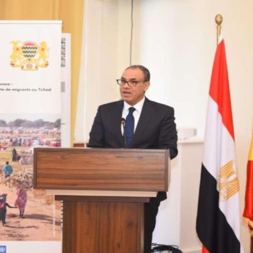 بعد هجوم القصر الرئاسي.. مصر تؤكد دعم حكومة تشاد للحفاظ على استقرار البلاد