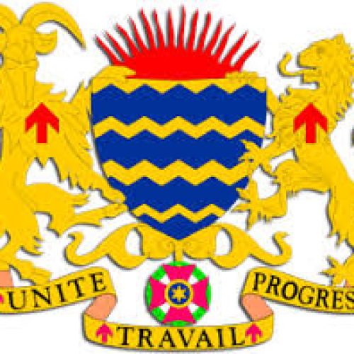 Tchad: Décret N°0431/PR/MSPSN/2021 portant nomination des délégués provinciaux de la santé