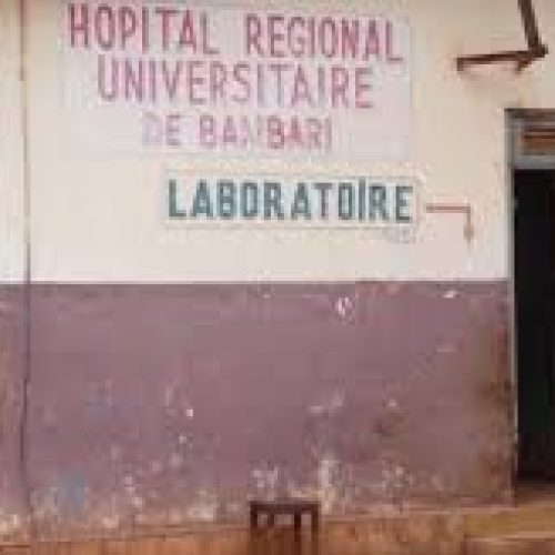 Centrafrique : Le CICR évacue 25 blessés à l’Hôpital universitaire de Bambari