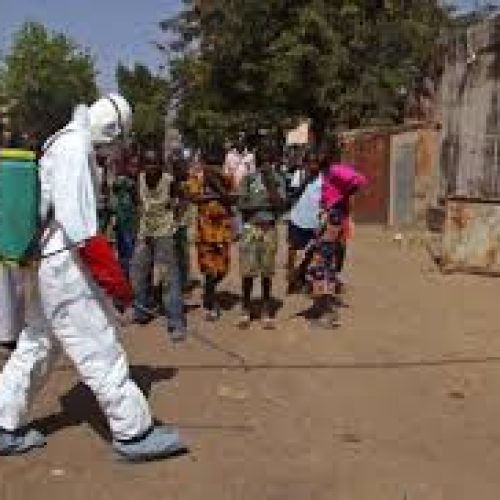 Ebola : l’OMS va aider la Guinée à    « circonscrire la situation »